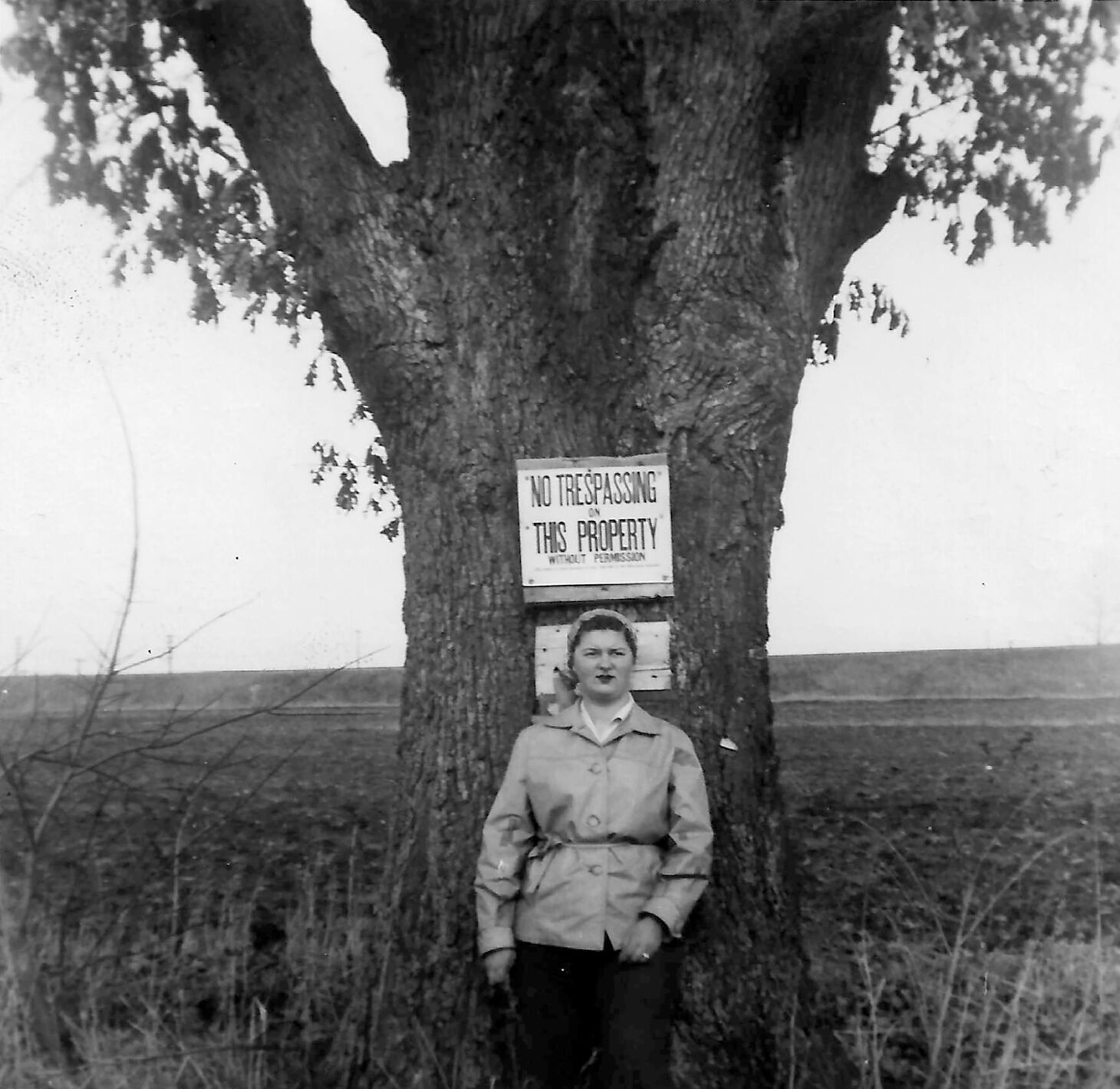 Historic Oak